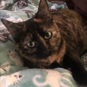 Meet your Posher, Lisa